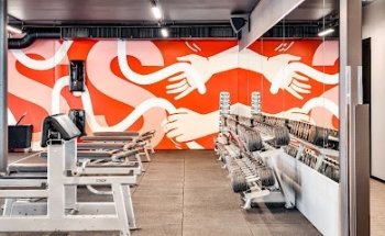 Fresh Fitness Manglerud