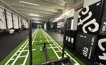 Fysioterapi og Trening