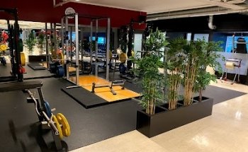 Shape & Fitness Club AS