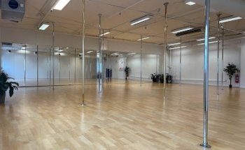 Unicorn Pole & Aerial Fitness