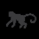 House Of Mindful Movement AS