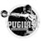 Pugilist Bokseklubb Eidsvoll