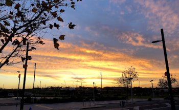 Anytime Fitness Westgate