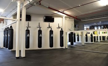 NZ Fight & Fitness Academy