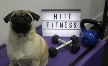 HIIT Fitness
