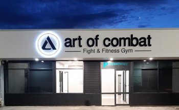 Art of Combat