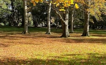 Cornwall Park Calisthenics outdoors gym