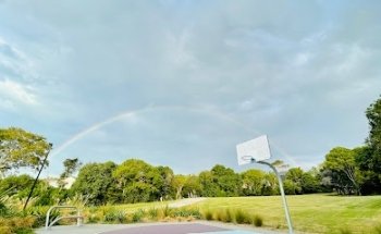 Basketball Playground