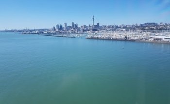 Building Better Bodies