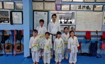 Fushin Ryu Karate Dojo Brown's Bay