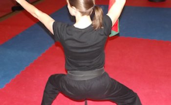 The Kung Fu School - Hamilton