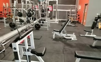 Forge Fitness