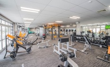 JustWorkout Albany