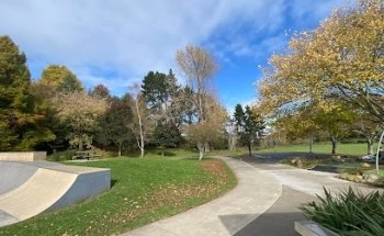 Te Awamutu Skate Park