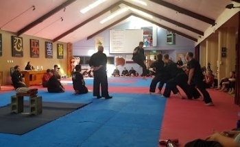 The Kung Fu School - Petone