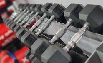 Way Of Life Fitness