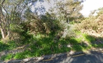 Zumba Bay of Islands in Kerikeri