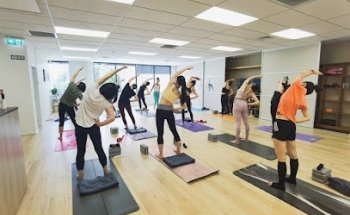AIYoga Albany