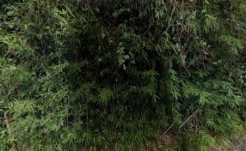 The Joy body Wellness