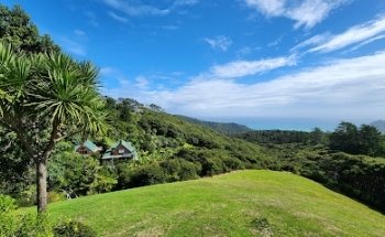 Auckland Yoga and Retreats