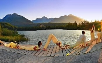 Wellington - Yoga in Daily Life New Zealand