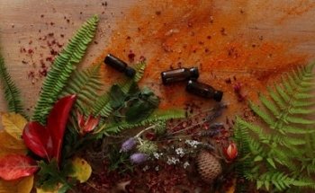 Wellpark College of Natural Therapies