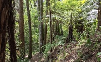 Kawai Purapura Retreat Centre