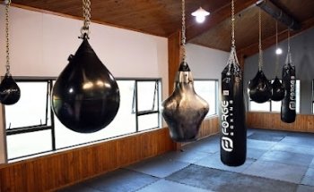 Forge Boxing