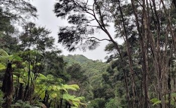 West Running Training