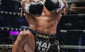 D.M.T. FIGHT SYSYEMS