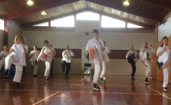 Chans Martial Arts - Papanui