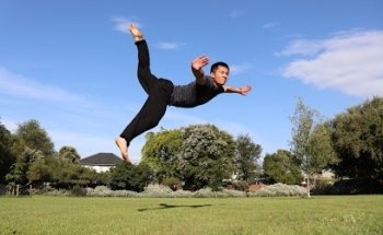 Master Song Shaolin Kung Fu Wushu
