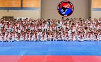 Sejong Taekwondo - Auckland City