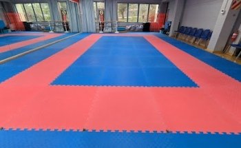 Jyoshinmon Shorin-Ryu Karate-Do New Zealand - New Lynn