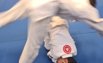 ALIVE DOJO Brazilian Jiu Jitsu & Judo