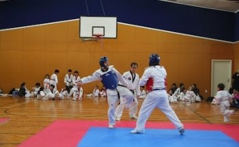 Waikato SeJong Taekwondo