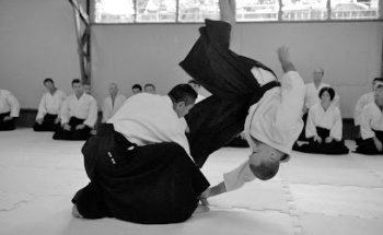 Aikido Shinryukan