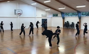 The Kung Fu School - Karori