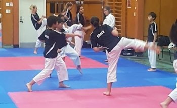 Karate Remuera