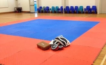 Ninjas - Taekwondo Lower Hutt