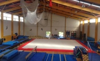 Waitakere Gymnastics