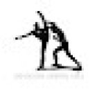 Van Roon Martial Arts | Auckland Taekwondo – Kickboxing – MMA