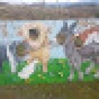 Oasis Motel & Hot pools complex