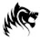 Fierce Grace Hot Yoga Queenstown