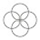 Sun Salute Yoga Centre