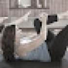 Point Physio & Pilates