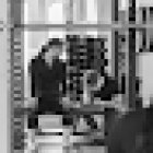 New Zealand Institute of Health and Fitness