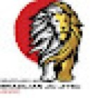 Grappling-Lab BJJ Club Howick
