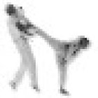 Sun-Do Taekwondo Club
