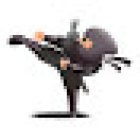 Ninjas - Taekwondo Lower Hutt